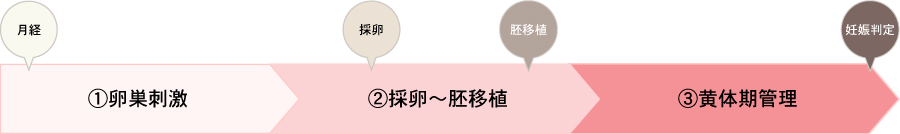 採卵周期の費用の目安の図