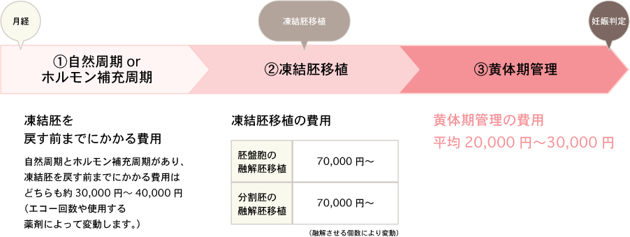 凍結胚周期の費用の目安図 凍結胚を戻す前までにかかる費用 自然周期とホルモン補充周期があり、凍結胚を戻す前までにかかる費用はどちらも約30,000円~40,000円(エコー回数や使用する薬剤によって変動します。) 凍結胚移植の費用 胚盤胞の融解胚移植の場合70,000円〜(融解させる個数により変動) 分割胚の融解胚移植の場合 70,000円〜(融解させる個数により変動) 黄体期管理の費用 平均20,000円〜30,000円