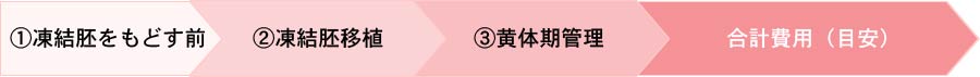 凍結胚周期の治療ケースによる合計費用(目安)図