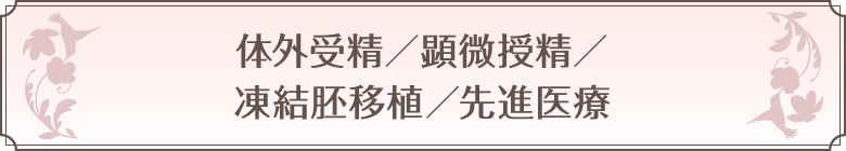 体外受精／顕微授精