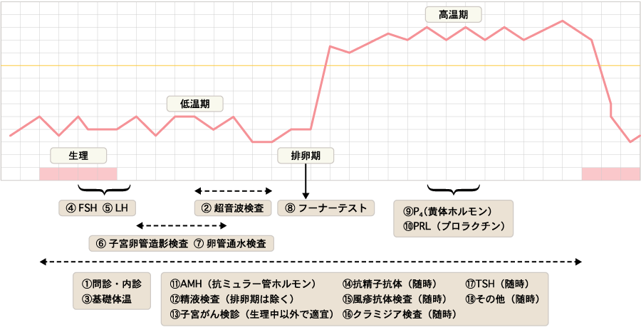 不妊基礎検査（種類と検査時期）の図